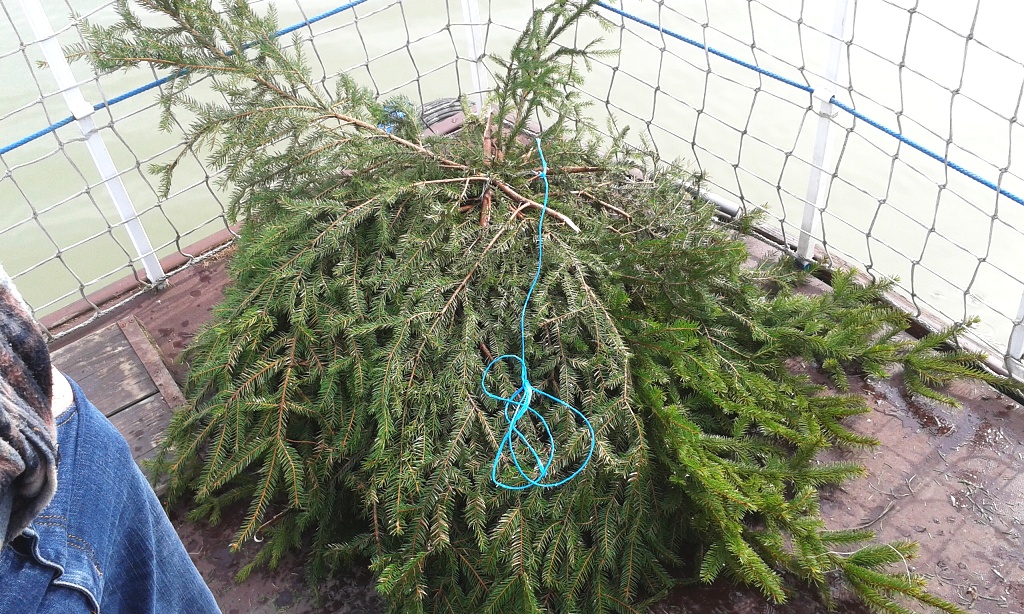 Fotogaléria 11.4.2015 - Pokladanie hniezd pre zubáča (8) 11.4.2015 - Pokladanie hniezd pre zubáča
