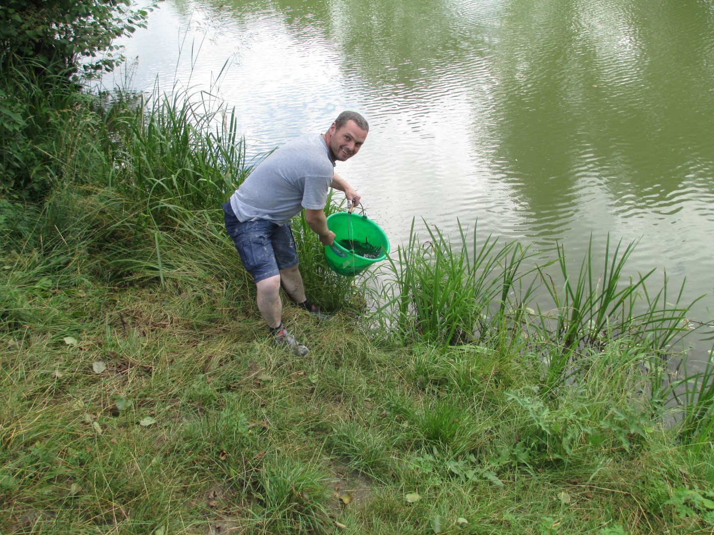 Fotogaléria 9.7.2015 - Zarybňovanie revírov úhorom (6) 9.7.2015 - Zarybňovanie revírov úhorom