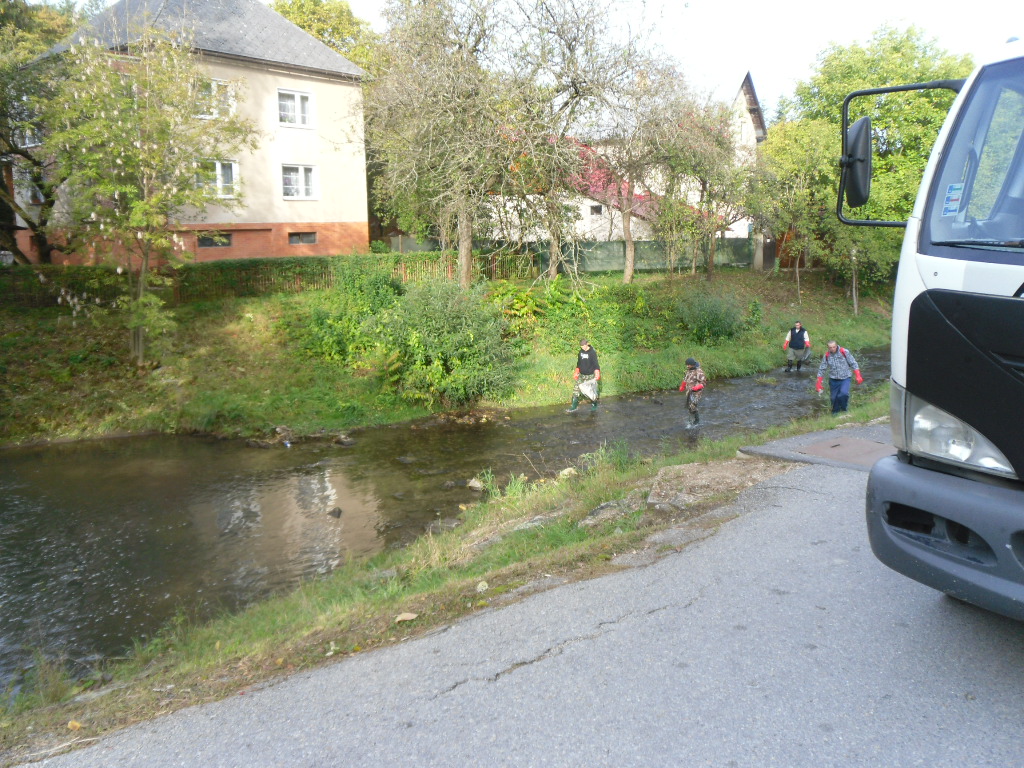 Fotogaléria 15.10.2016 - Čistenie Domanižanky (7) 15.10.2016 - Čistenie Domanižanky